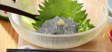 生しらす刺身